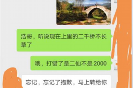 三门峡三门峡的要账公司在催收过程中的策略和技巧有哪些？